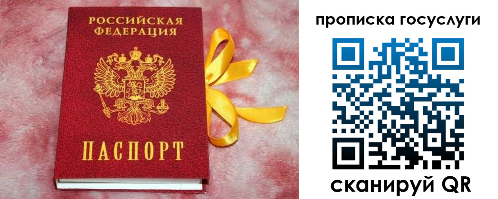 регистрация в Сельцо